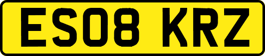 ES08KRZ