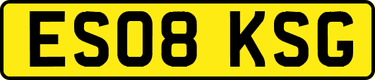 ES08KSG