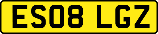 ES08LGZ