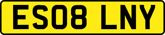 ES08LNY