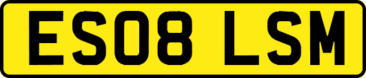ES08LSM