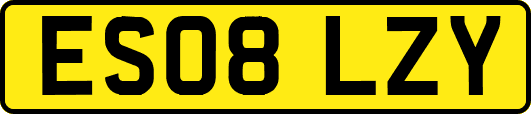 ES08LZY