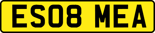 ES08MEA
