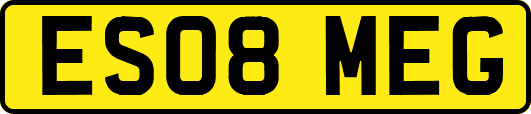 ES08MEG