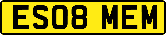 ES08MEM