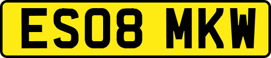 ES08MKW