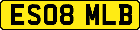 ES08MLB