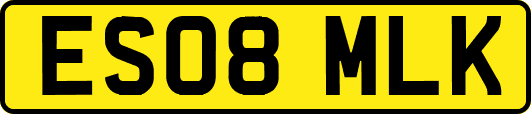ES08MLK