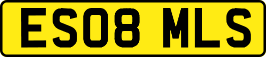ES08MLS