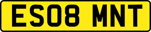 ES08MNT