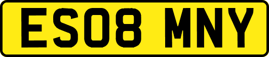 ES08MNY