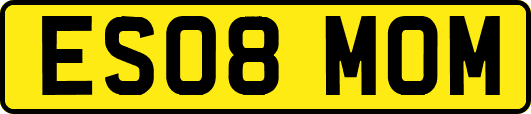 ES08MOM