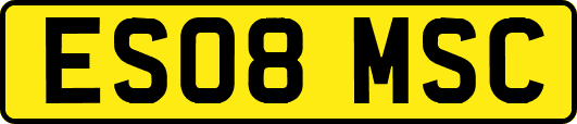 ES08MSC