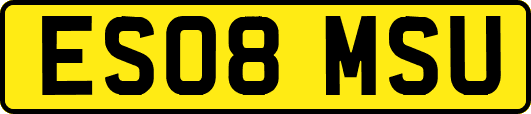 ES08MSU