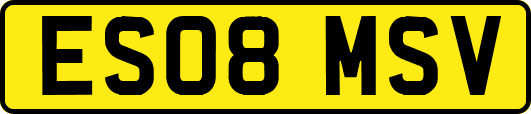 ES08MSV