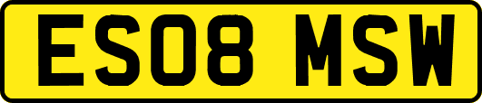 ES08MSW