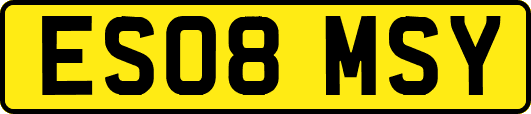 ES08MSY