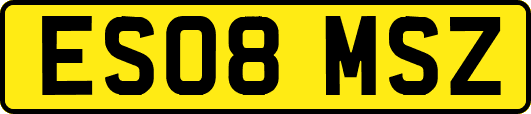ES08MSZ