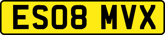 ES08MVX