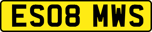 ES08MWS
