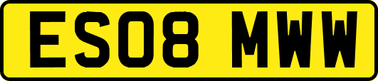 ES08MWW