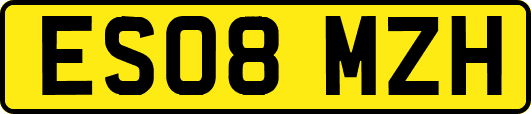 ES08MZH
