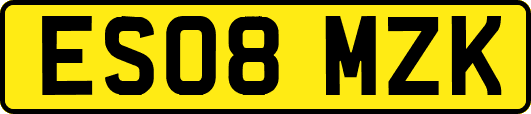 ES08MZK