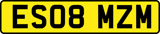 ES08MZM