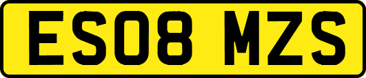 ES08MZS