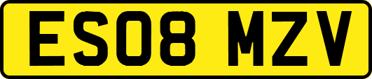 ES08MZV