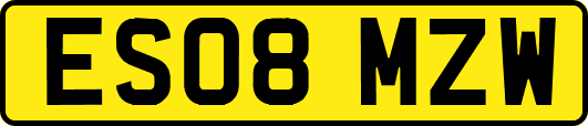 ES08MZW