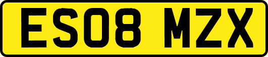 ES08MZX