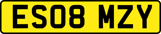 ES08MZY