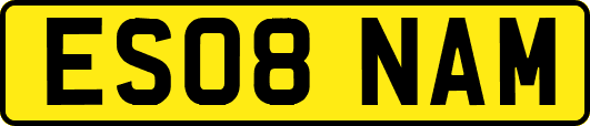 ES08NAM