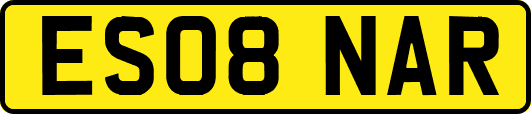 ES08NAR