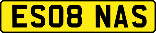 ES08NAS