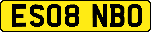 ES08NBO