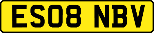 ES08NBV