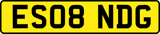 ES08NDG
