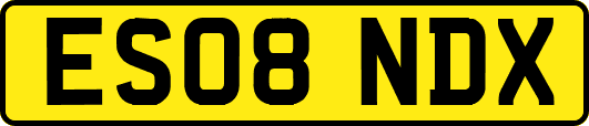 ES08NDX