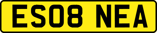 ES08NEA