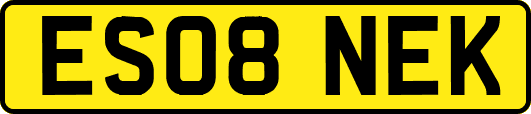 ES08NEK