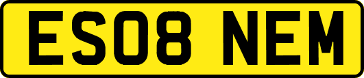 ES08NEM