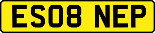 ES08NEP