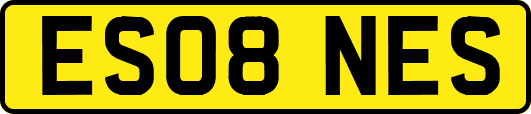 ES08NES