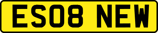 ES08NEW