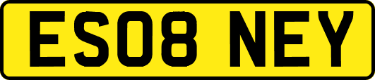 ES08NEY