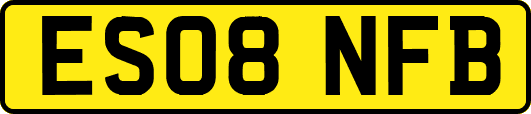ES08NFB