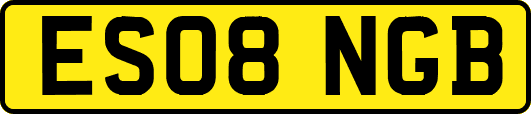 ES08NGB
