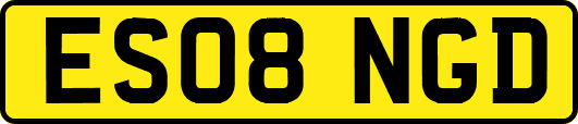 ES08NGD